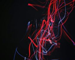 hao-wang-pVq6YhmDPtk-unsplash