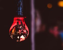 shane-rounce-PHKgQSGzwpw-unsplash